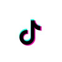 TikTok Marketing Partner